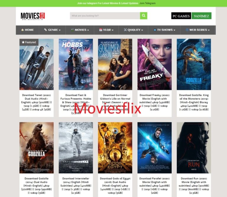 Moviesflix Pro Website 2021 – Movies flix 480p 720p 300MB Hindi Dubbed