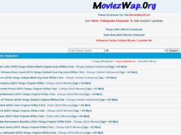 MoviezWap.Org - MoviezWap Org 2021 Download 300MB Full HD Telugu Movies